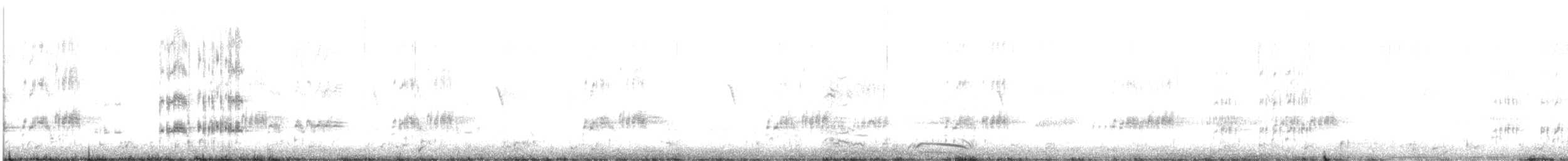 Western Grebe - ML631480185