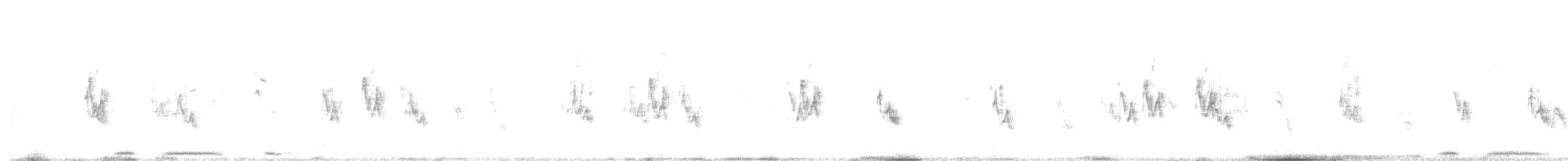 Haussperling - ML631486544