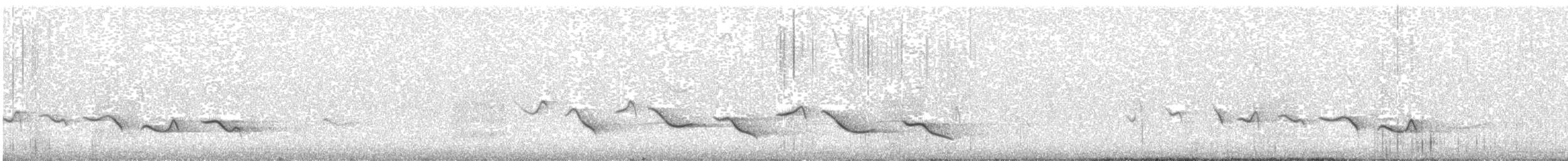 Black-crowned Tchagra (Black-crowned) - ML631497952