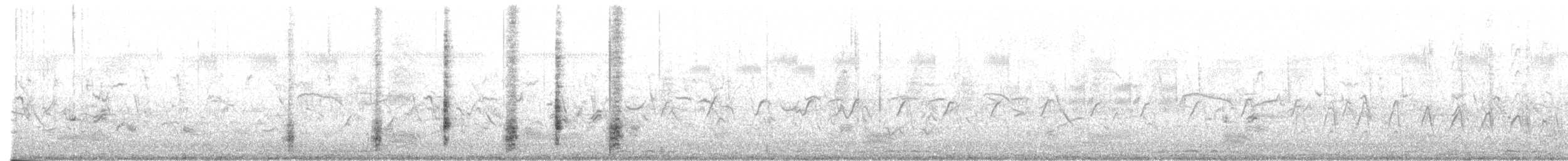 Stentorrohrsänger - ML631498171