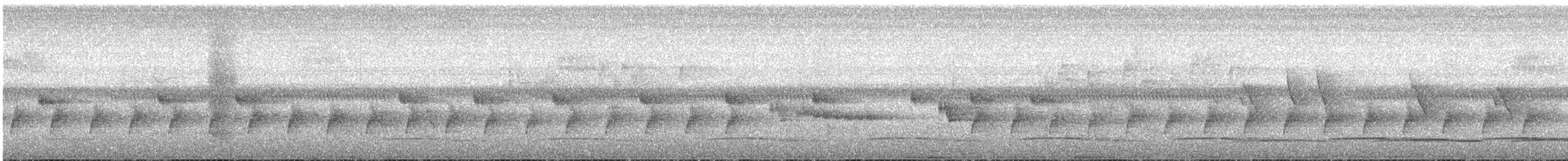 Barred Long-tailed Cuckoo - ML631499630