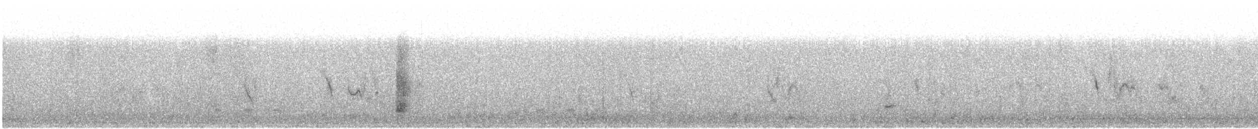 Black Bustard - ML631501753