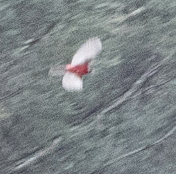 Red Warbler - ML631502427