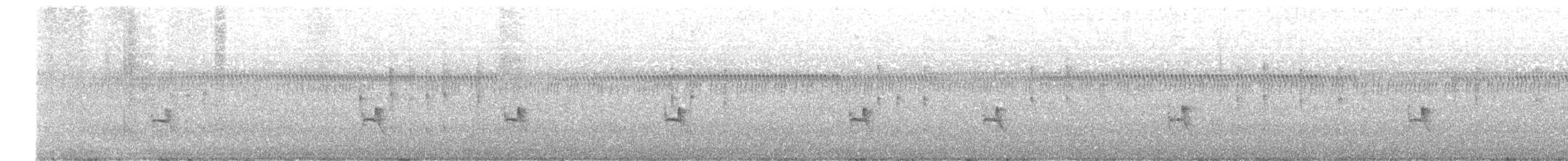 Prinia à sourcils - ML631503115