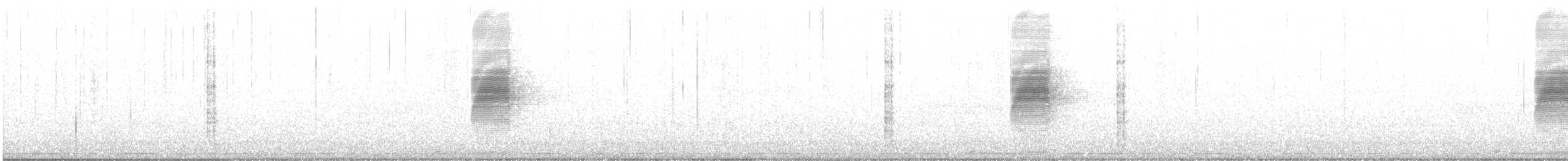 American Woodcock - ML631504356