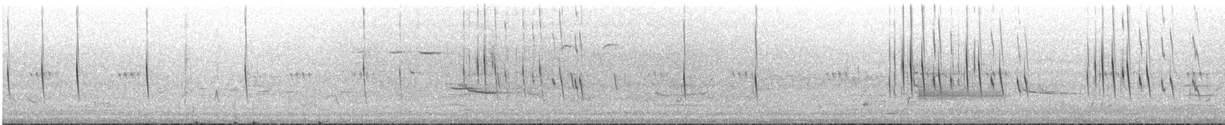 Schornsteinsegler - ML631506783