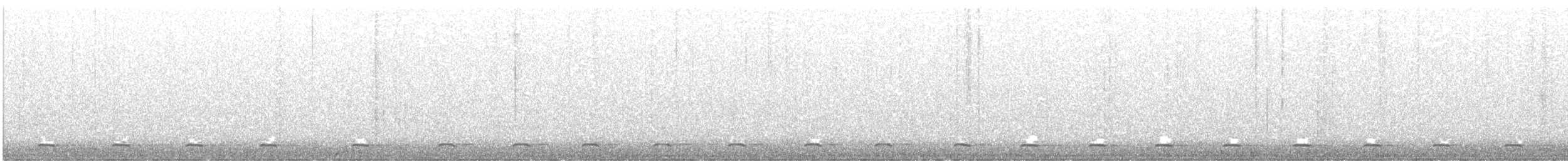 Northern Saw-whet Owl - ML631506956