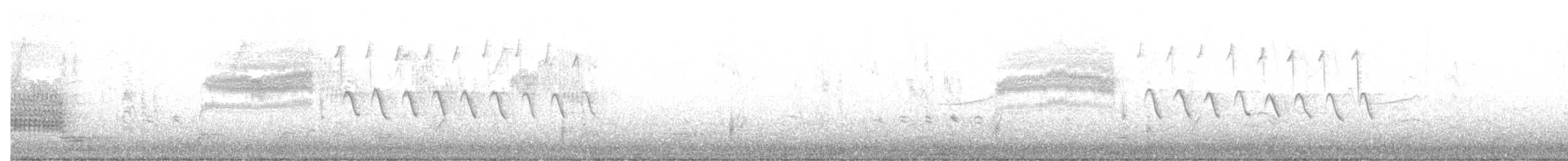 Bewick's Wren - ML631507996