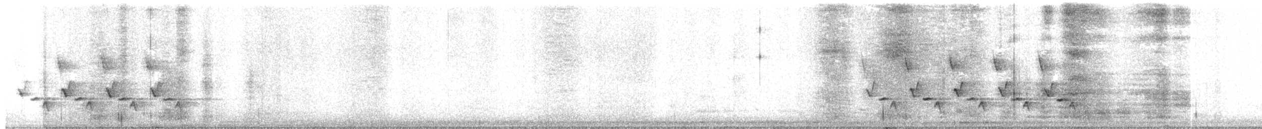 Carolina Wren - ML631508961