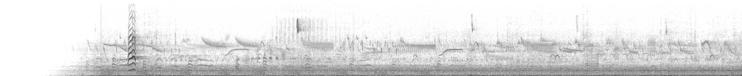 Black Stilt - ML631511892