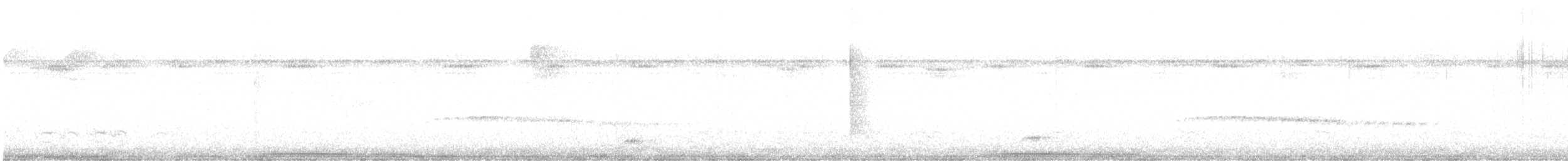 Colombe de Cassin - ML631512809