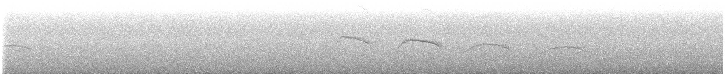 Middle American Leaftosser - ML631516138