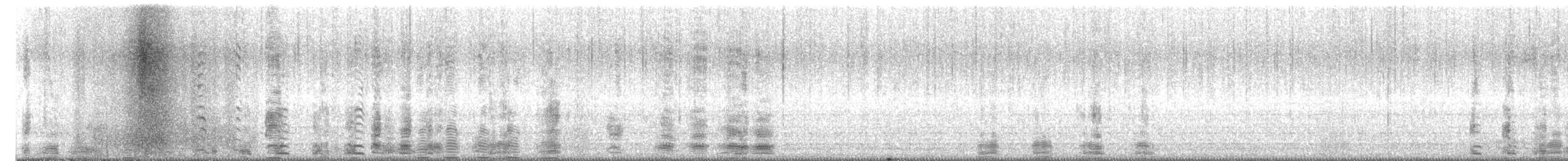 Graylag Goose (Domestic type) - ML631519342