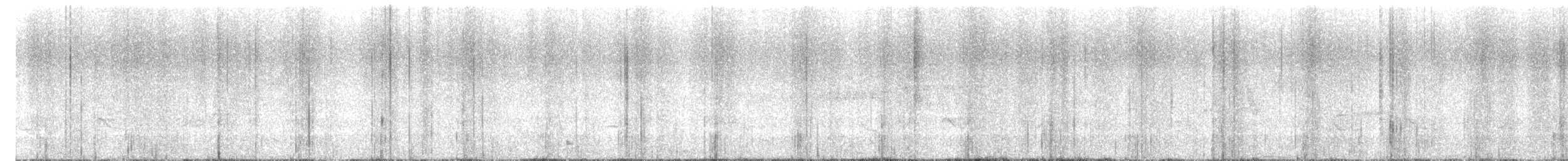 MacGillivray's Warbler - ML631528938