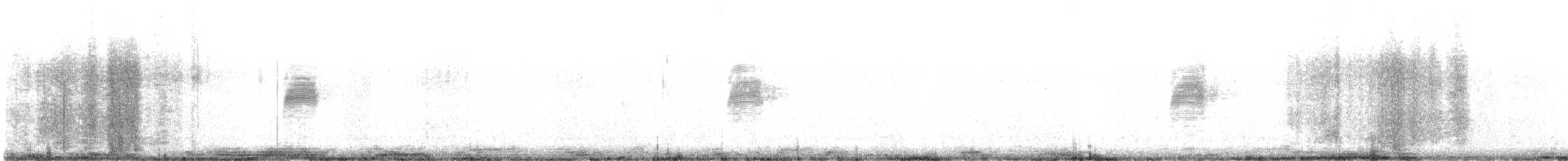 American Woodcock - ML631536695