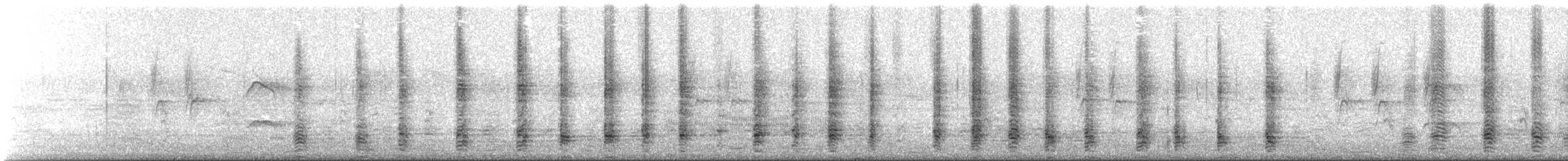 Barnacle Goose - ML63153681