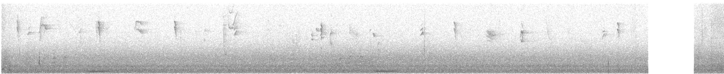 オオウズラバト - ML631536945