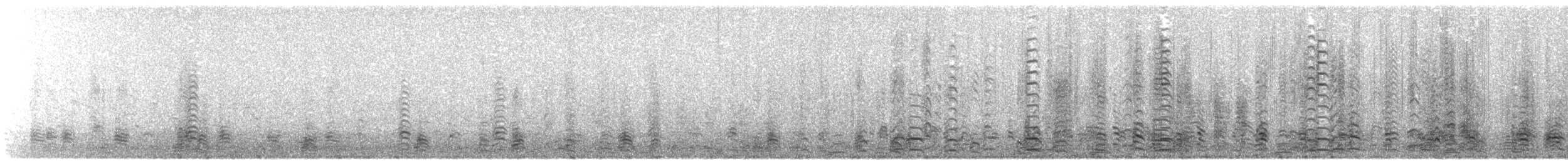 Barnacle Goose - ML63154031