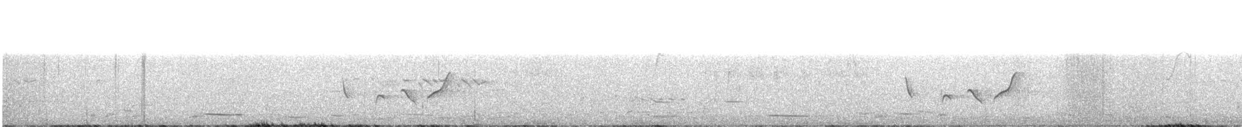 Séricorne timide - ML631540486