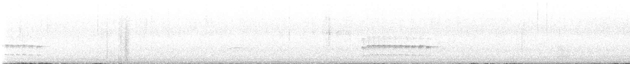 Trilling Tapaculo - ML631540574