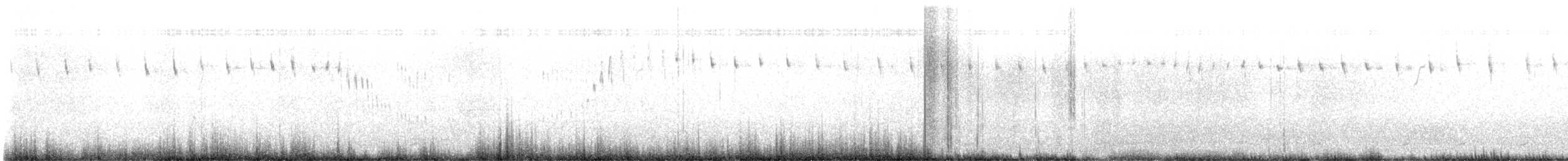 Cream-winged Cinclodes - ML631541742