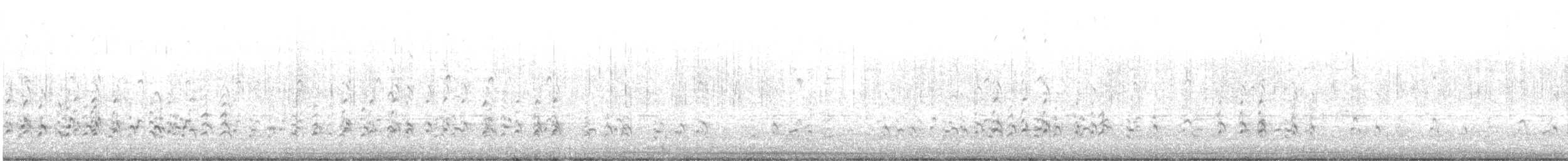 American Avocet - ML631549837