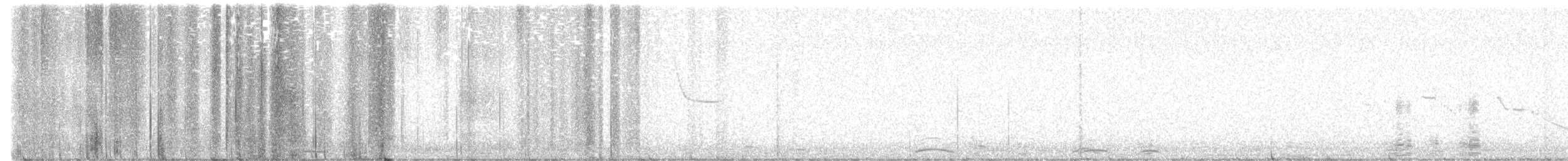 Cygne siffleur - ML631549976