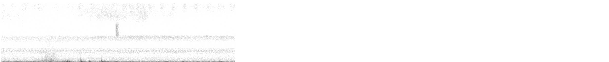 new world warbler sp. - ML631552736