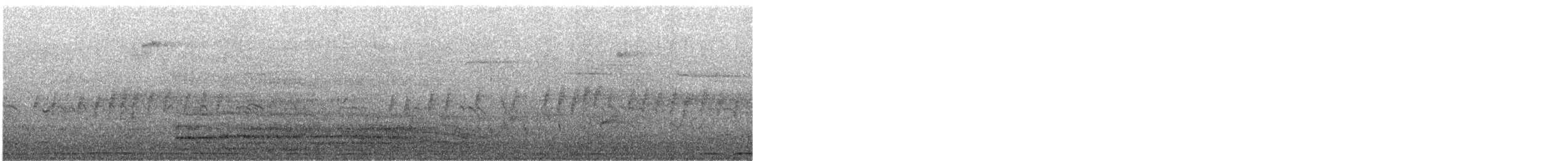 Gray Kingbird - ML631554587