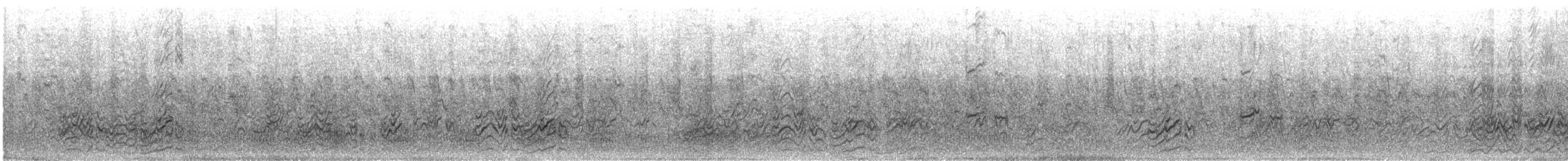 Sterna scura - ML631554611