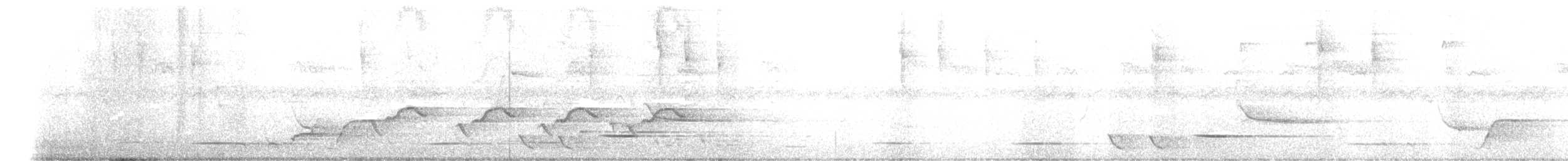 ビロードヒラハシ - ML631554826