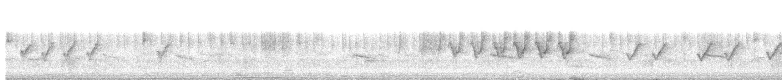 Pouillot couronné - ML631557869