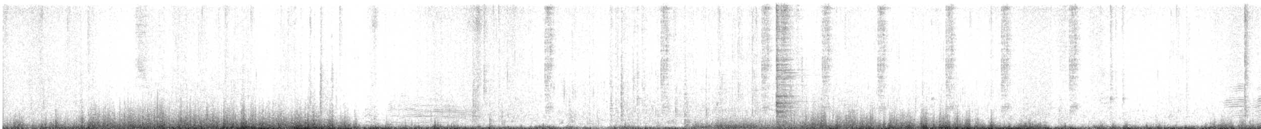 Black-footed Albatross - ML631559142