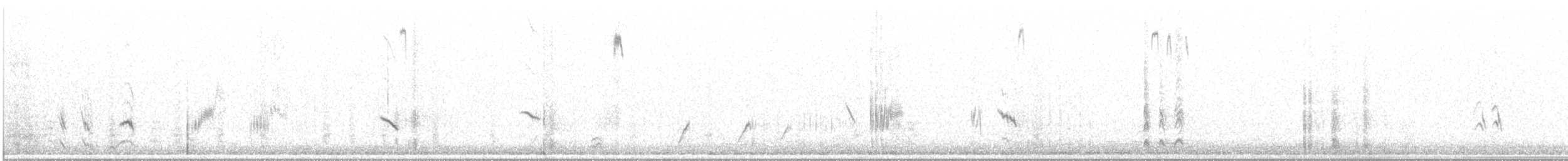 bělořit plavý - ML631559585