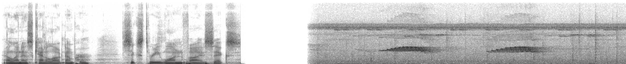Кокоа плямистий [група aequatorialis] - ML63156