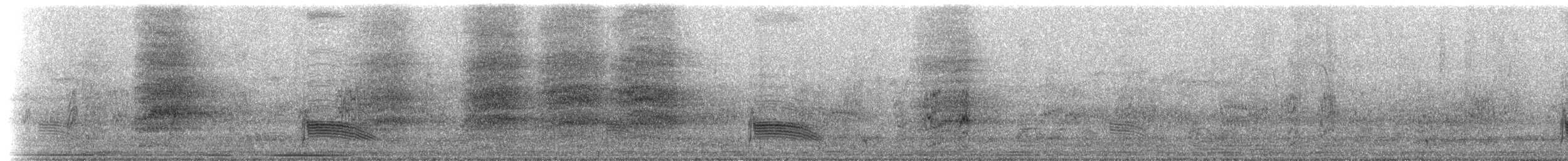 Tyranneau suiriri - ML631561235