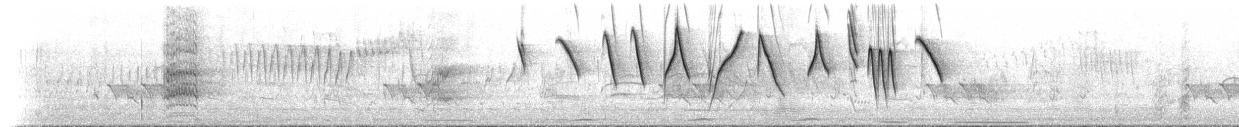 コバシマユシトド（pectoralis） - ML631561295