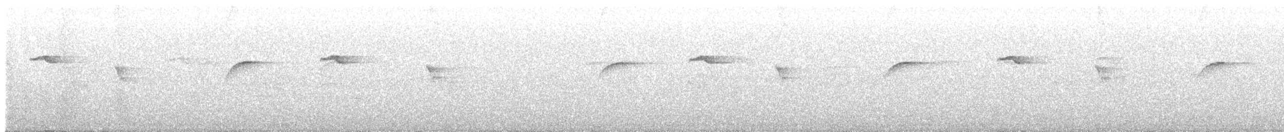 キメジロハエトリ - ML631563070