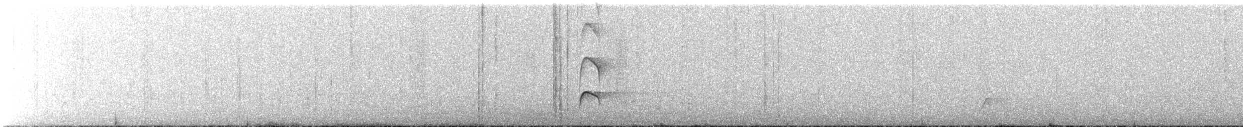 Nutting's/Salvadoran Flycatcher - ML631565574