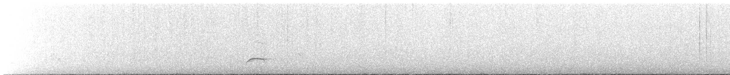 Nutting's/Salvadoran Flycatcher - ML631565698