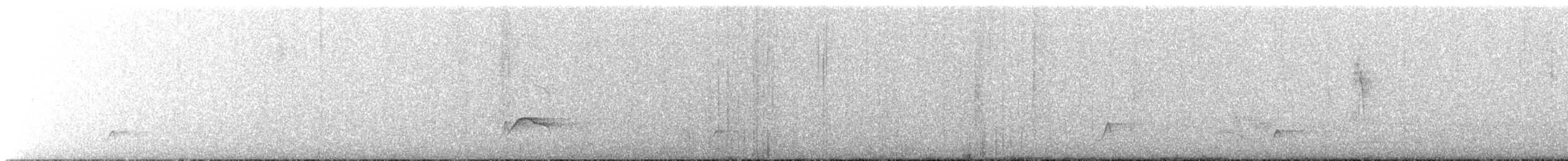 Nutting's/Salvadoran Flycatcher - ML631566417