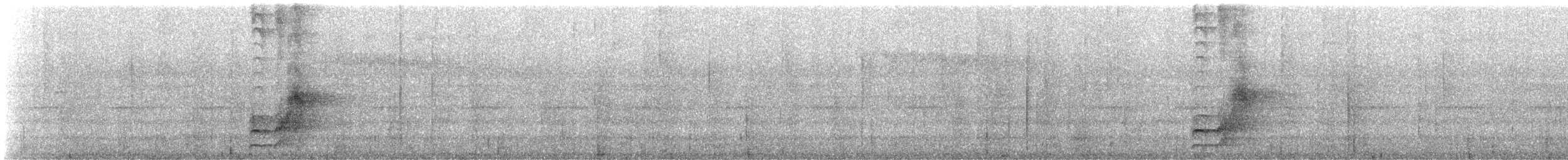 Tatama Tapaculo - ML631572776