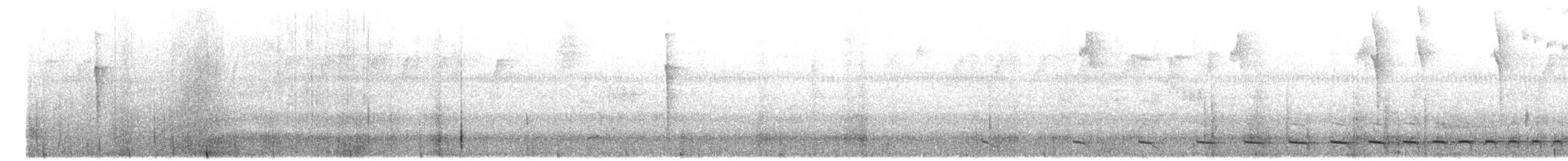 Black Antshrike - ML631578205