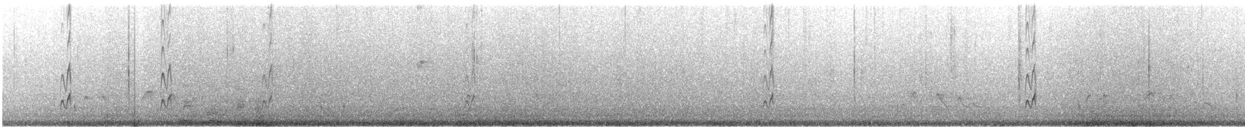 Nutting's/Salvadoran Flycatcher - ML631591383