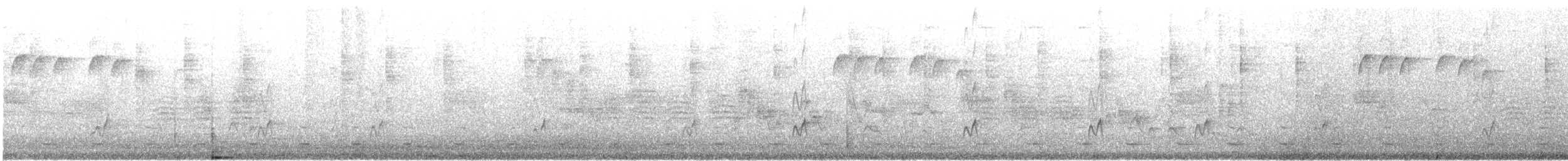 Copetón de Nutting/Salvadoreño - ML631591384