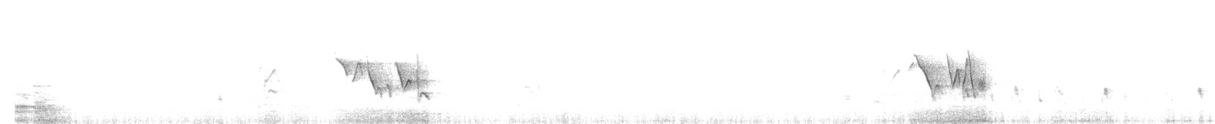 Tarabilla Terrestre - ML631592699