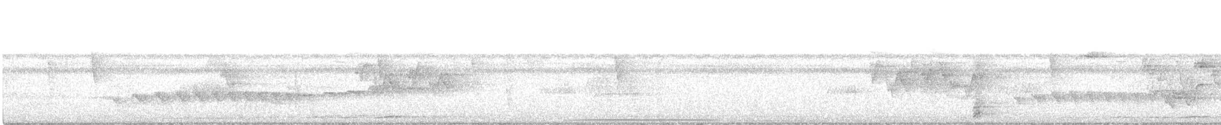 Colombe de Cassin - ML631593490