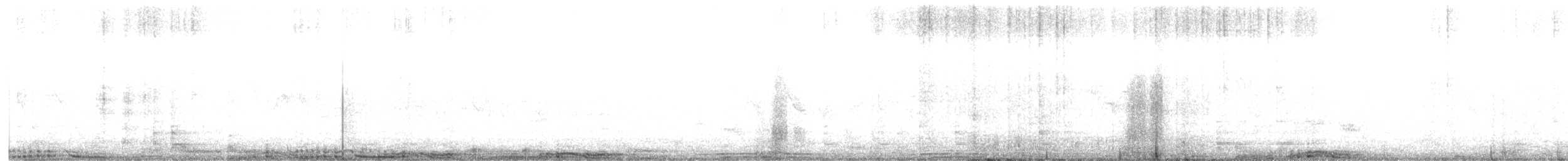 Rock Pigeon (Feral Pigeon) - ML631594675