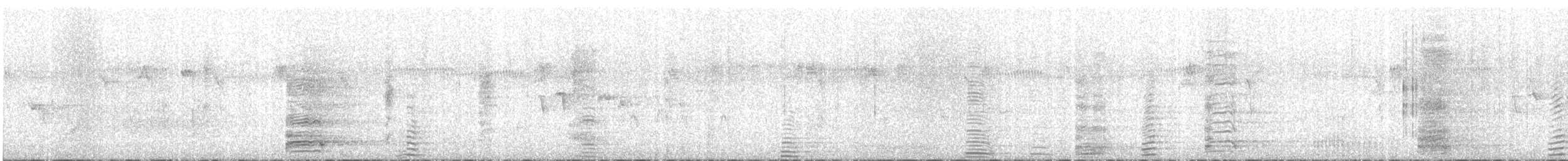 Magpie Goose - ML631608755