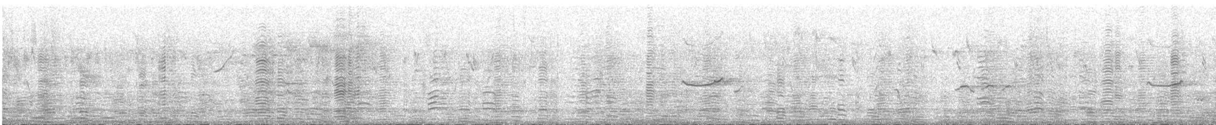 Magpie Goose - ML631608756